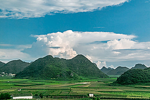 田园乡村