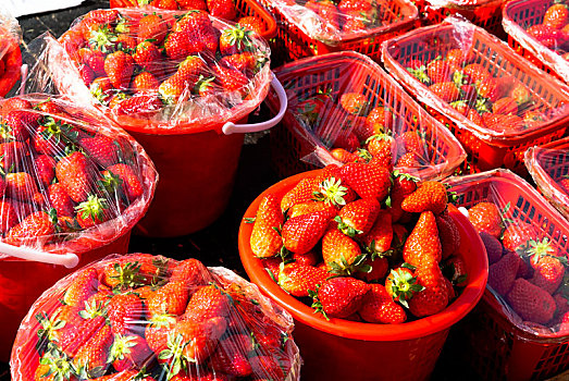 草莓九十多