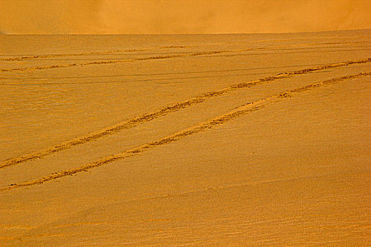 沙漠里的车辙