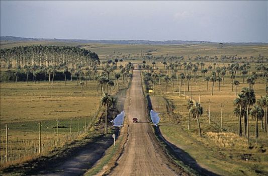 乌拉圭,道路,风景