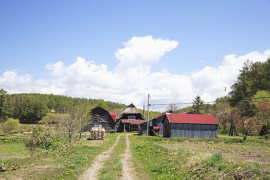 乡间小路