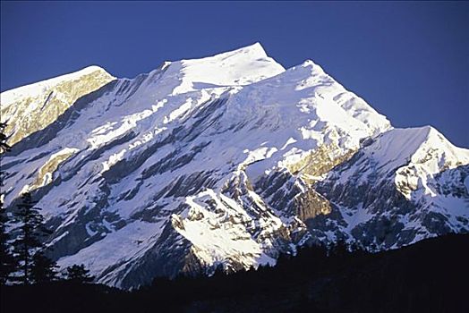顶峰,尼泊尔