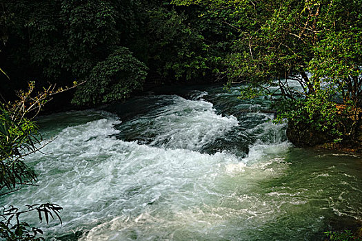 荔波急流河水