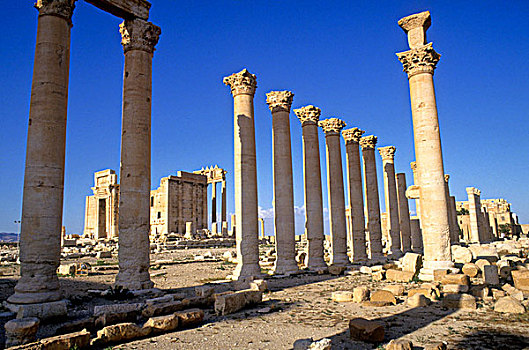 叙利亚,帕尔迈拉,遗迹,世界遗产,庙宇