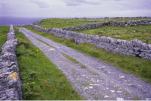 道路,栅栏,爱尔兰