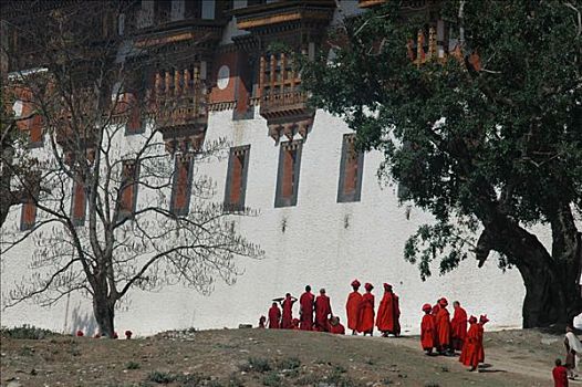 庆贺,普那卡宗,宗派寺院,不丹,喜马拉雅山