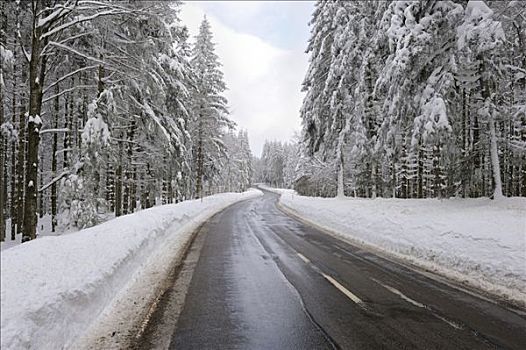 道路,清晰,冰,雪,南方,黑森林,巴登符腾堡,德国,欧洲