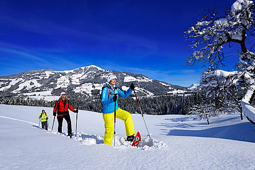 雪鞋,远足,背景,阿尔卑斯山,提洛尔,奥地利,欧洲