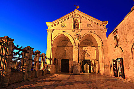大教堂,蒙特卡罗,晚上,亮光,阿普利亚,意大利,欧洲