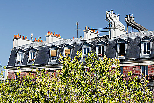巴黎,地区,绿色,建筑,老建筑,出现,树,风景