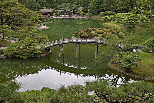 斑点,公园,日本