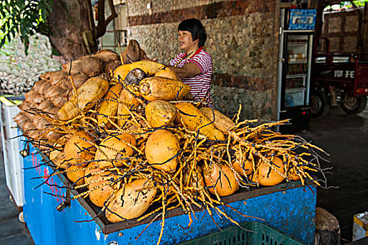 海南兴隆南国热带雨林游览区门前的椰子水果摊