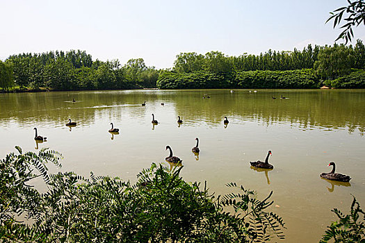 上庄水库湿地