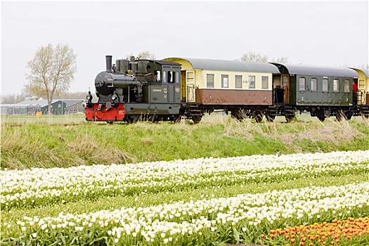 火车头,北荷兰省,荷兰