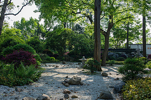 上海植物园盆景园