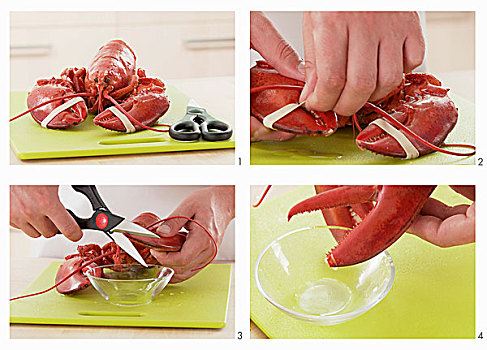 龙虾,爪,切削