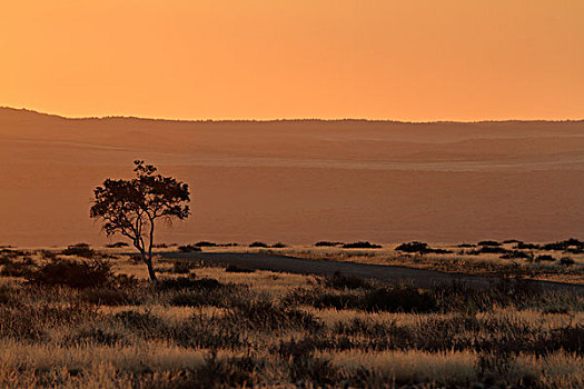 纳米比亚,非洲