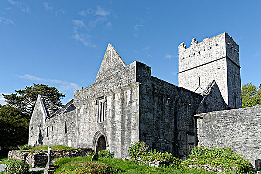 教堂,芒斯特,爱尔兰,欧洲