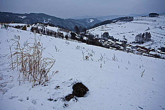 雪乡,雪村,吉林,临江市,村庄,山村,乡村,冬季,雪野,寒冷,农家,接待,旅游,松岭,东北,风情