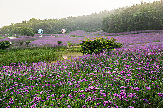 谷里香草园