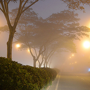 模糊,街道,雨,夜晚