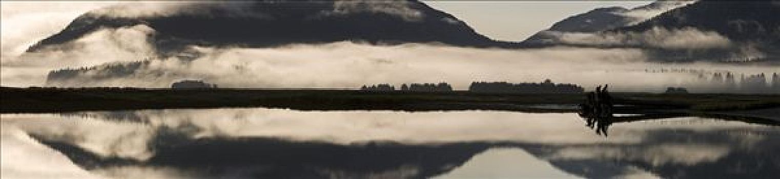雾,薄雾,湿地,河,靠近,通加斯国家森林,东南阿拉斯加