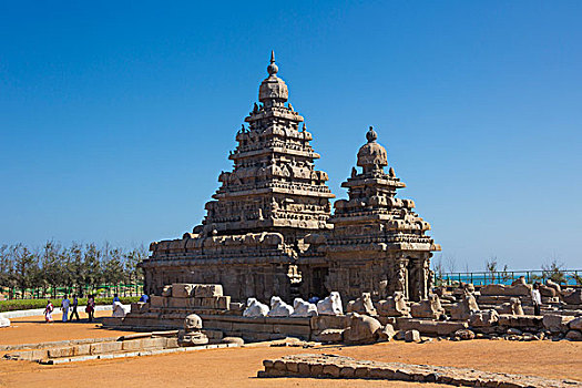 印度,泰米尔纳德邦,马哈拉里普林,庙宇,五个,沿岸