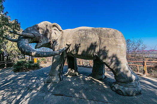 野生动物大象石像雕塑建筑