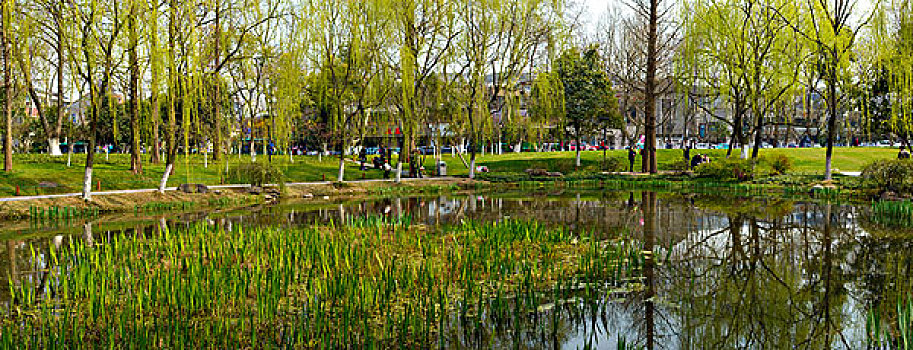 西湖十景,柳浪闻莺