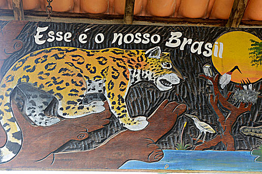 壁画,乡村,国家公园,巴伊亚,东北方,海岸,巴西,南美