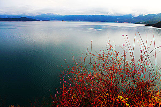 泸沽湖风光