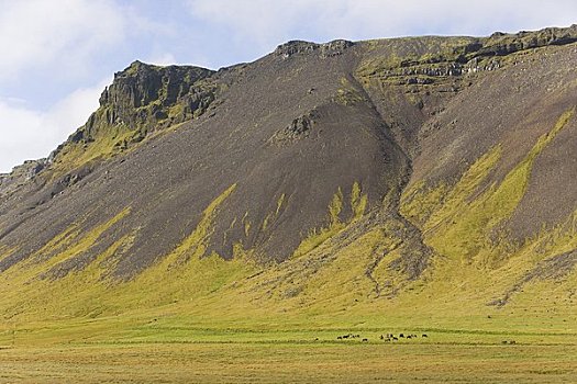悬崖,斯奈山半岛,冰岛