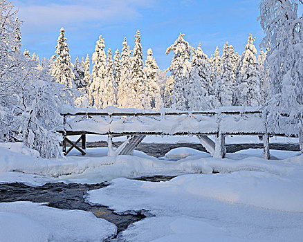 桥,上方,河,库萨莫,北方,芬兰