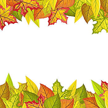 秋叶,矢量,设计,彩色,叶子,品种,树,上面,仰视,白色,留白,中间,装饰,自然,概念,季节,广告,秋天