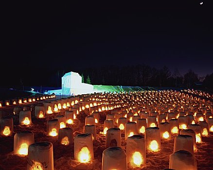 雪,亮光,树林,北海道