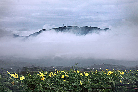 阳江,阳春市