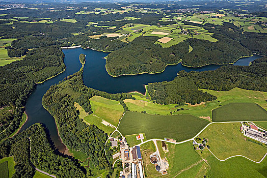 坝,河,贝尔吉施地区,地点,风景,鲁尔区,北莱茵威斯特伐利亚,德国