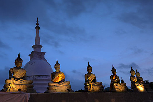 佛像,庙宇,科伦坡,斯里兰卡