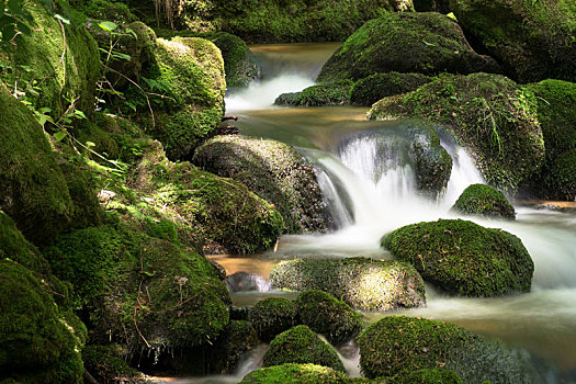 山川,树林