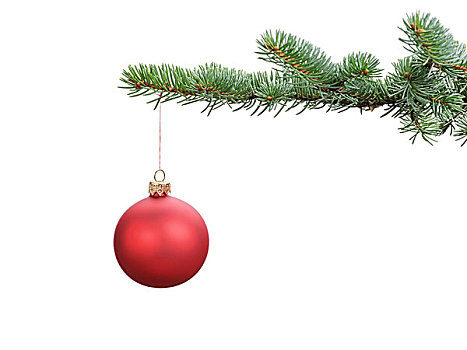 红色,绸缎,玻璃球,悬挂,圣诞节,枝条,隔绝,白色背景
