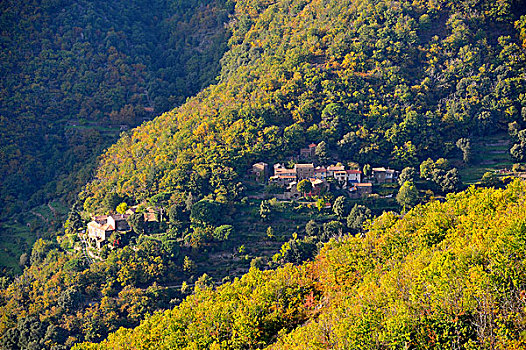 乡村,塞文山脉