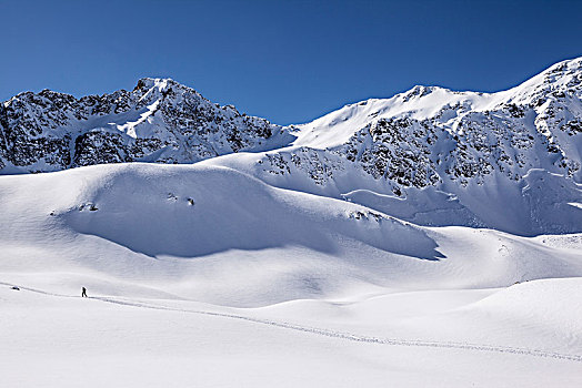 孤单,滑雪,冬天,阿尔卑斯山,提洛尔,奥地利,欧洲