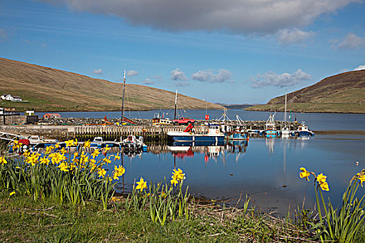 船,码头,设得兰群岛,苏格兰
