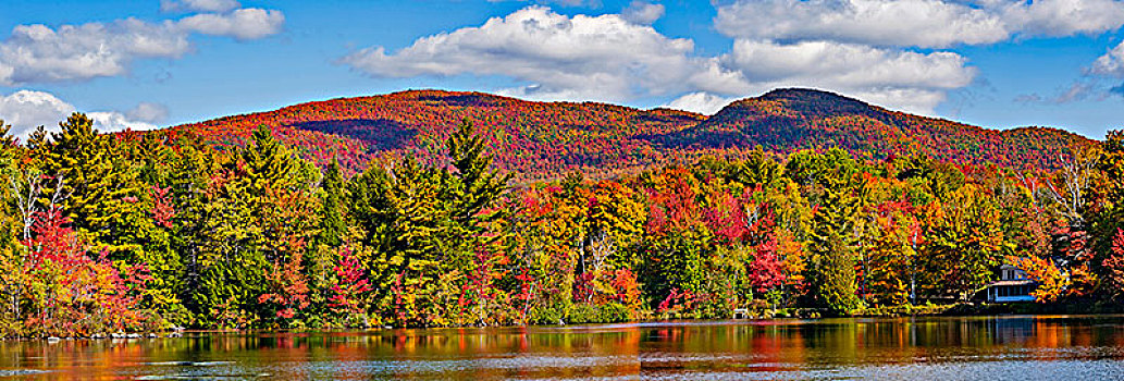 秋天,水塘,彩色,改变,东方镇,西部,魁北克,加拿大,北美