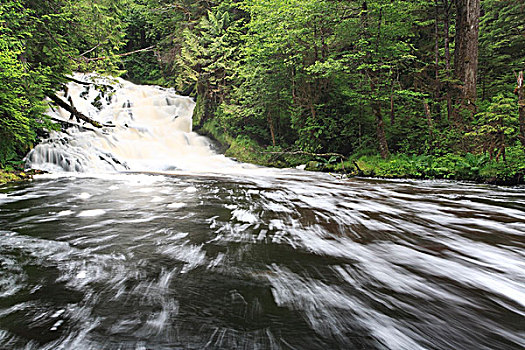 瀑布,溪流,省立公园,王子,不列颠哥伦比亚省