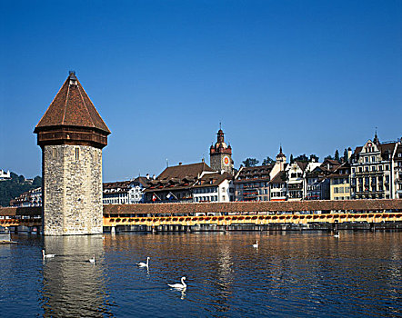 水塔,市政厅,小教堂,桥,上方,河,卢塞恩,瑞士