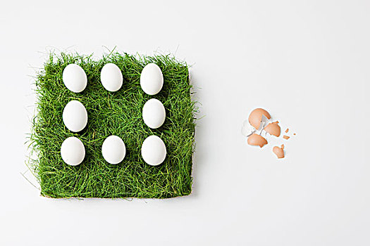 蛋,小块土地,草