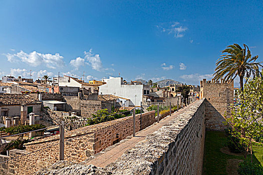 城墙,屋顶,历史,中心,马略卡岛,巴利阿里群岛,西班牙,欧洲