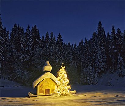 小教堂,靠近,黃昏,圣诞树,上巴伐利亚,巴伐利亚,德国