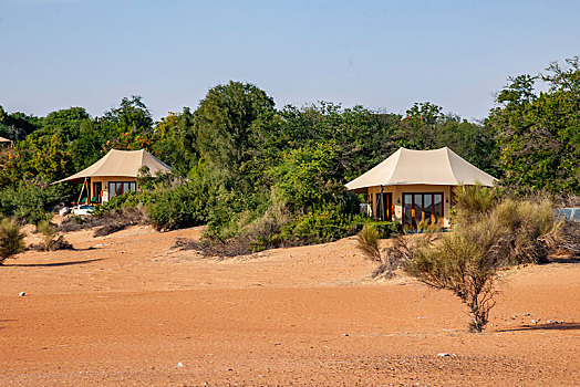 迪拜沙漠保护区中心的阿玛哈豪华精选沙漠水疗度假酒店
